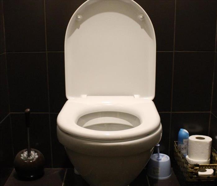 open, White toilet bowl