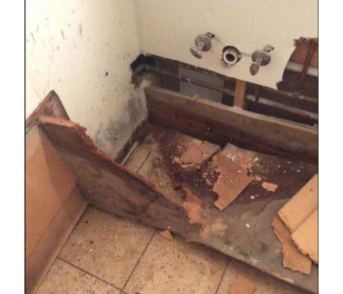 mold, bathroom floor