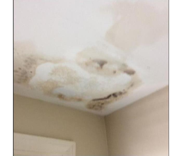 water and mold damage on ceiling